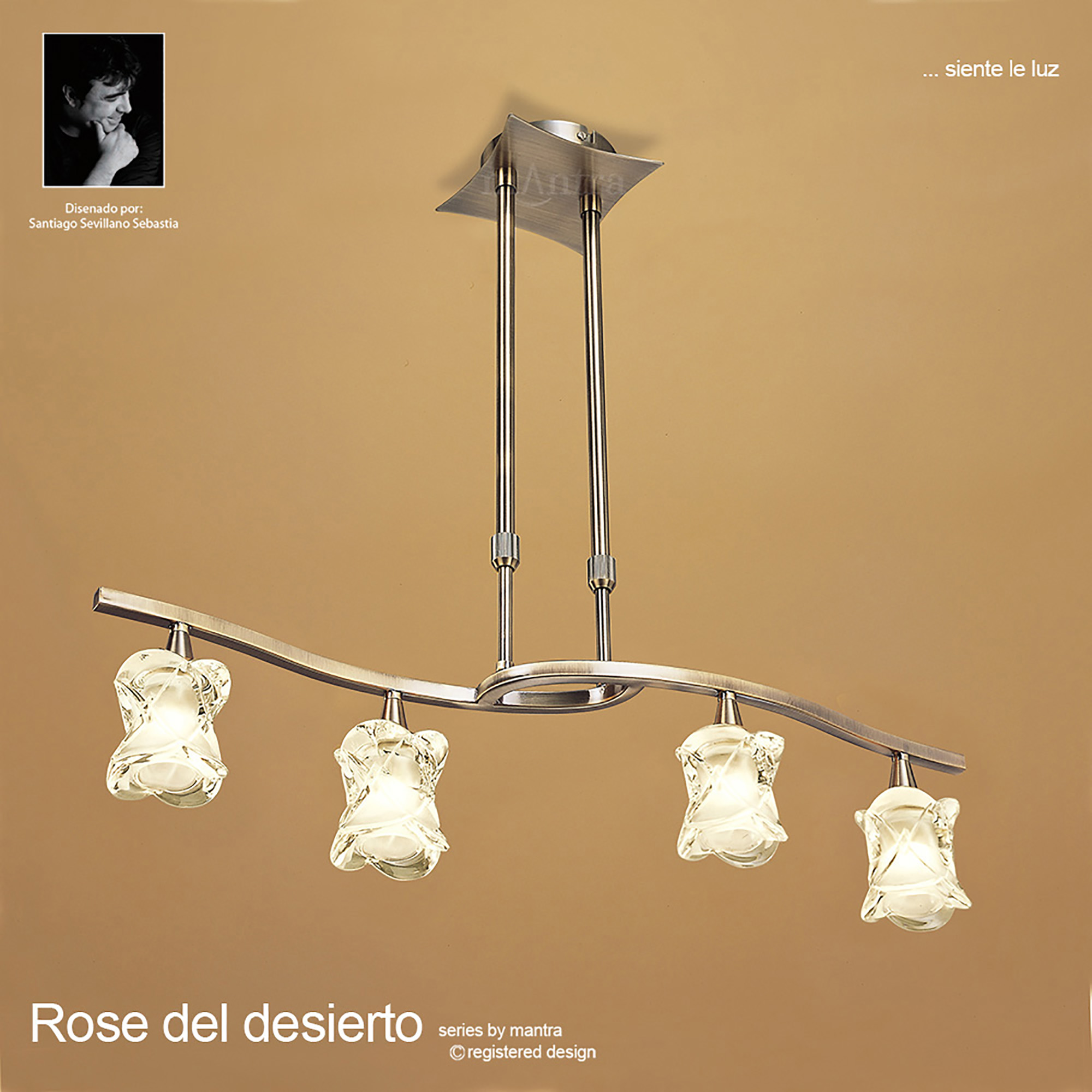 Rosa AB Ceiling Lights Mantra Contemporary Ceiling Lights Rosa AB Ceiling Lights Mantra Contemporary Ceiling Lights